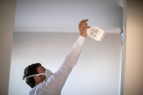 Professional Mold Remediation in Worland, WY