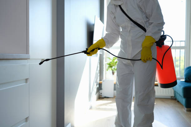 Best DIY Mold Remediation Support Services in Worland, WY